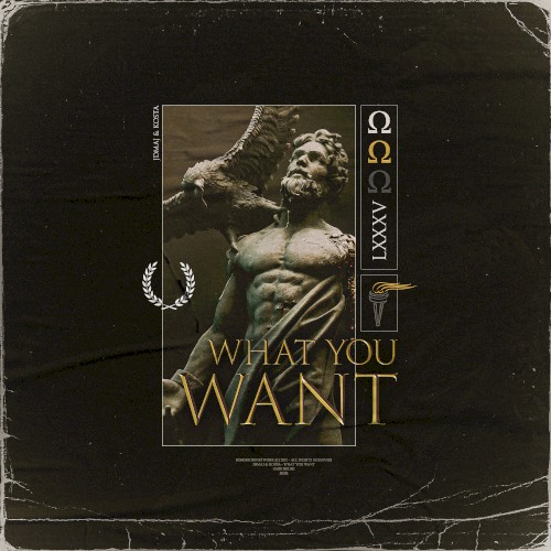What You Want