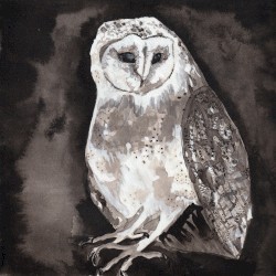 Owl Song