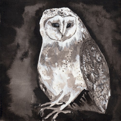 Owl Song