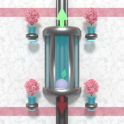Elevator Relaxation Tapes 1-4