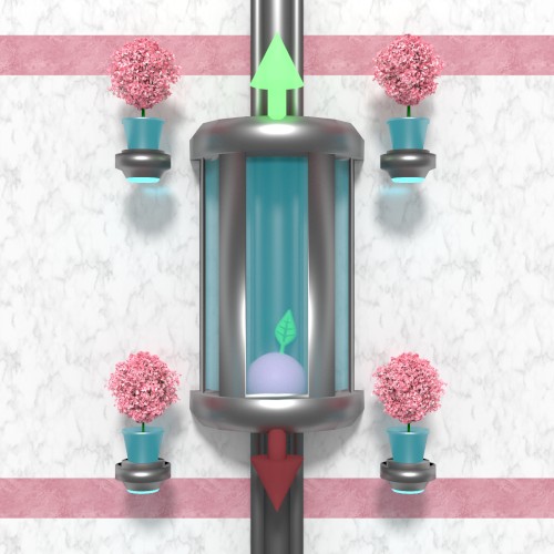 Elevator Relaxation Tapes 1-4