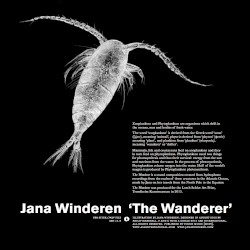 The Wanderer