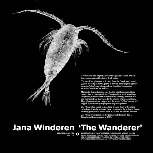 The Wanderer