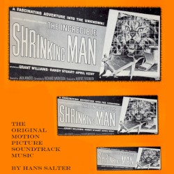 The Incredible Shrinking Man