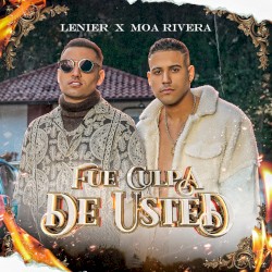 Fue culpa de usted