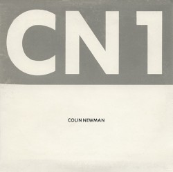 CN1