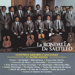 Nuestras mejores canciones: 17 súper éxitos
