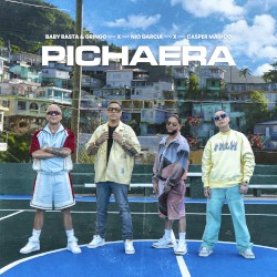 Pichaera