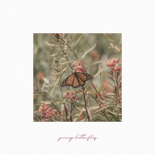 Young Butterflies