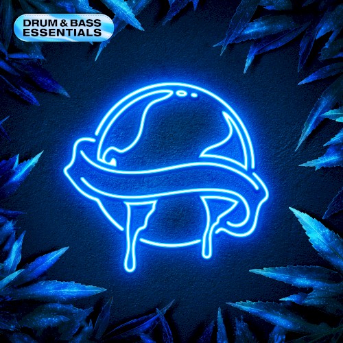 Drum & Bass Essentials 2026
