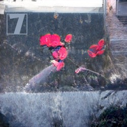 Musings 7
