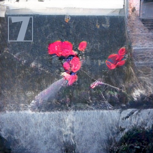 Musings 7