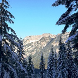 Snowfall