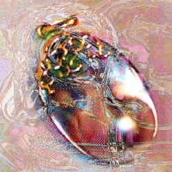 222: What Strikes the Oyster Shell Does Not Damage the Pearl
