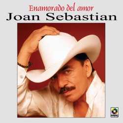 Enamorado del amor