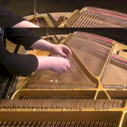 Brylee Daniels Sonata for the 2020 Election
