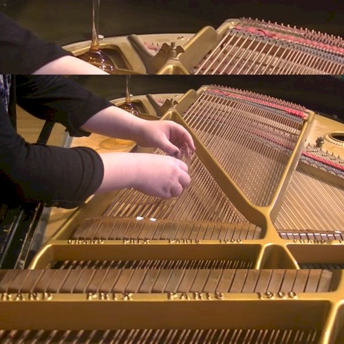 Brylee Daniels Sonata for the 2020 Election