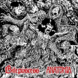 Anatomia / Bilepuscess