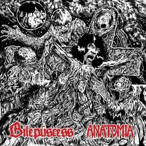 Anatomia / Bilepuscess