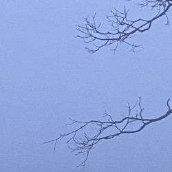 Permanence