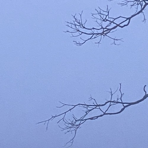 Permanence