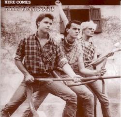 Here Comes The Waltons