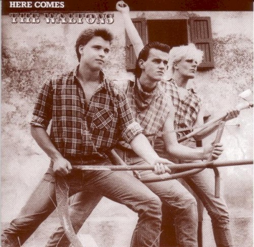 Here Comes The Waltons