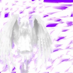 broken wings