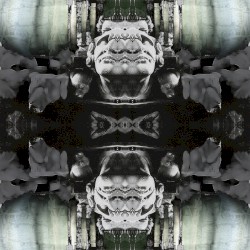 Summer of Love EP