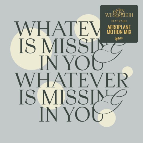 Whatever Is Missing In You - Aeroplane Motion Extended Mix