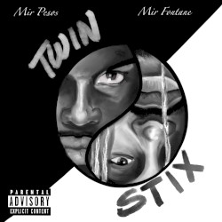 Twin Stix
