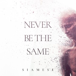 Never Be the Same