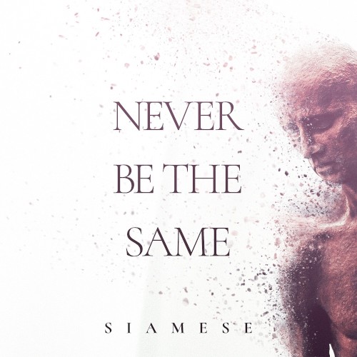 Never Be the Same