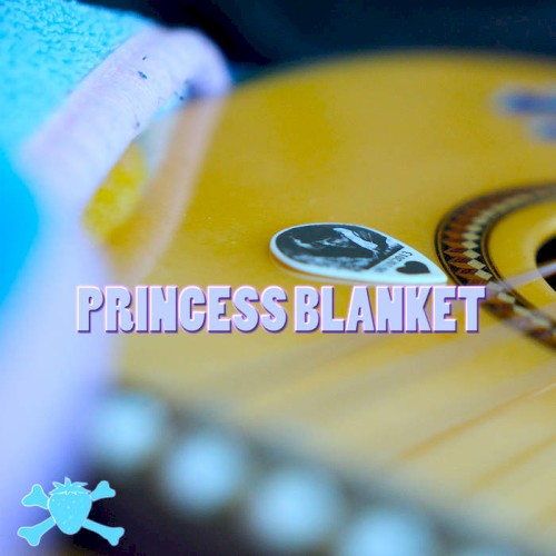 Princess Blanket