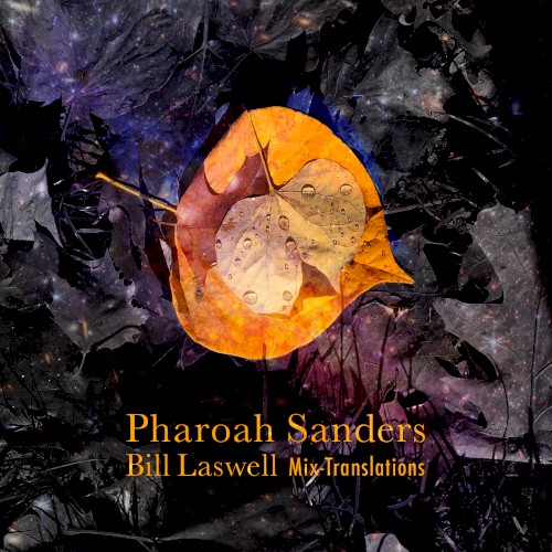 Bill Laswell Mix-Translations