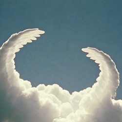 thő̸̞̗̜̰͈̟̀͒͑͂ų̵̳̪̭͉͎̀͛͆̈́͑͛̋̀ght i could fly..