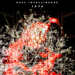 Dust Intelligence IOTA