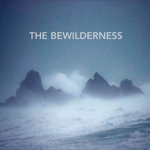 The Bewilderness
