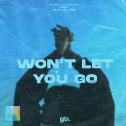 Won’t Let You Go