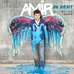 On dirait (Willy William Remix)
