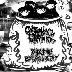 Gastronomic Error / Paleolithic Brain Surgery