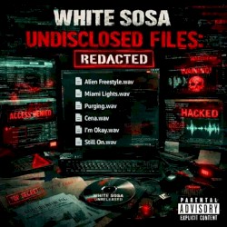 Undisclosed Files (Redacted)