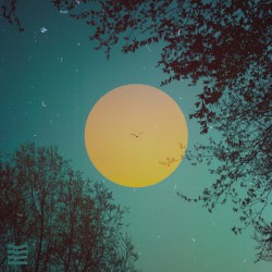 Orange Teal