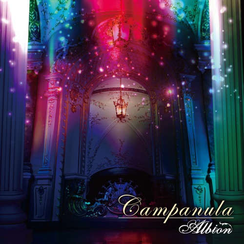 Campanula
