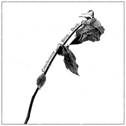 Incessant Severance