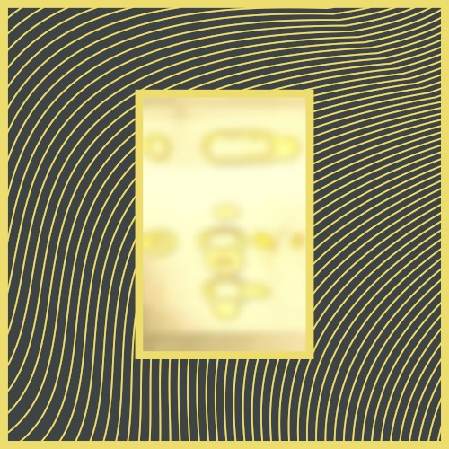 SGW Loops Vol.10