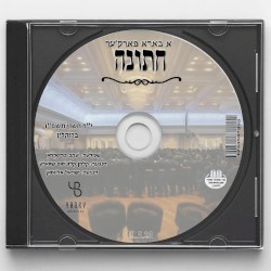 Nov 5″25 Nussenzweig Wedding (Kalmey Schwartz & Sruly Altman)