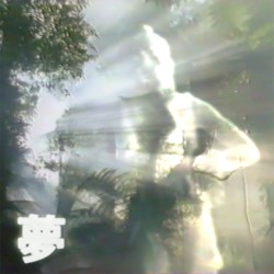 夢