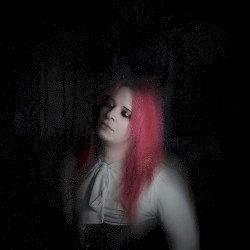 The Disappearing Girl