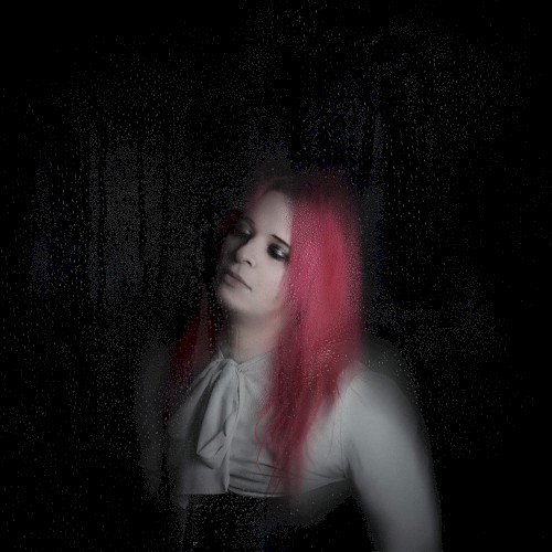 The Disappearing Girl